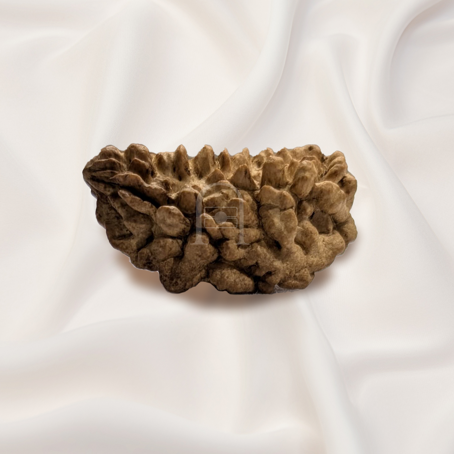 onemukhi