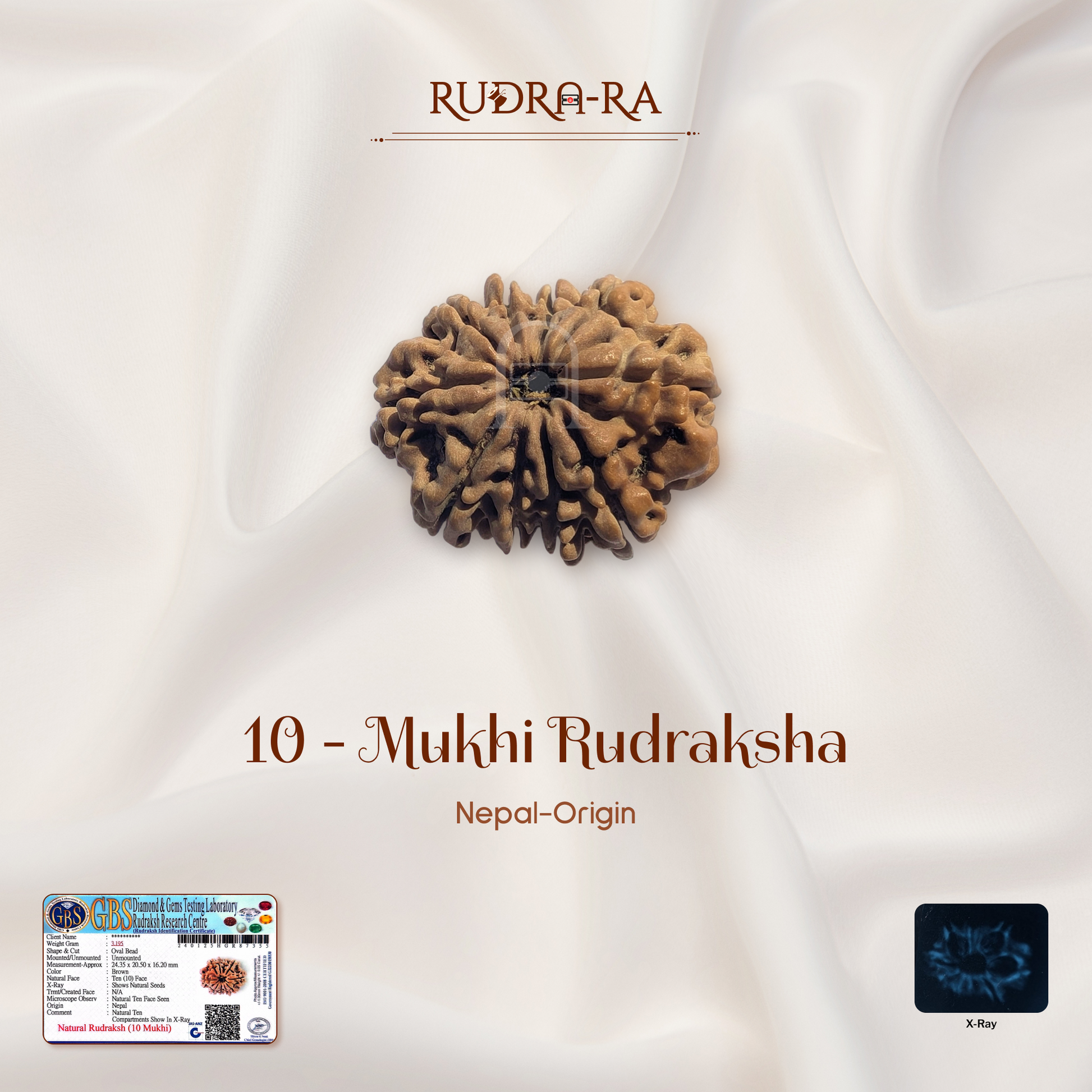 10_mukhi_rudraksh_01