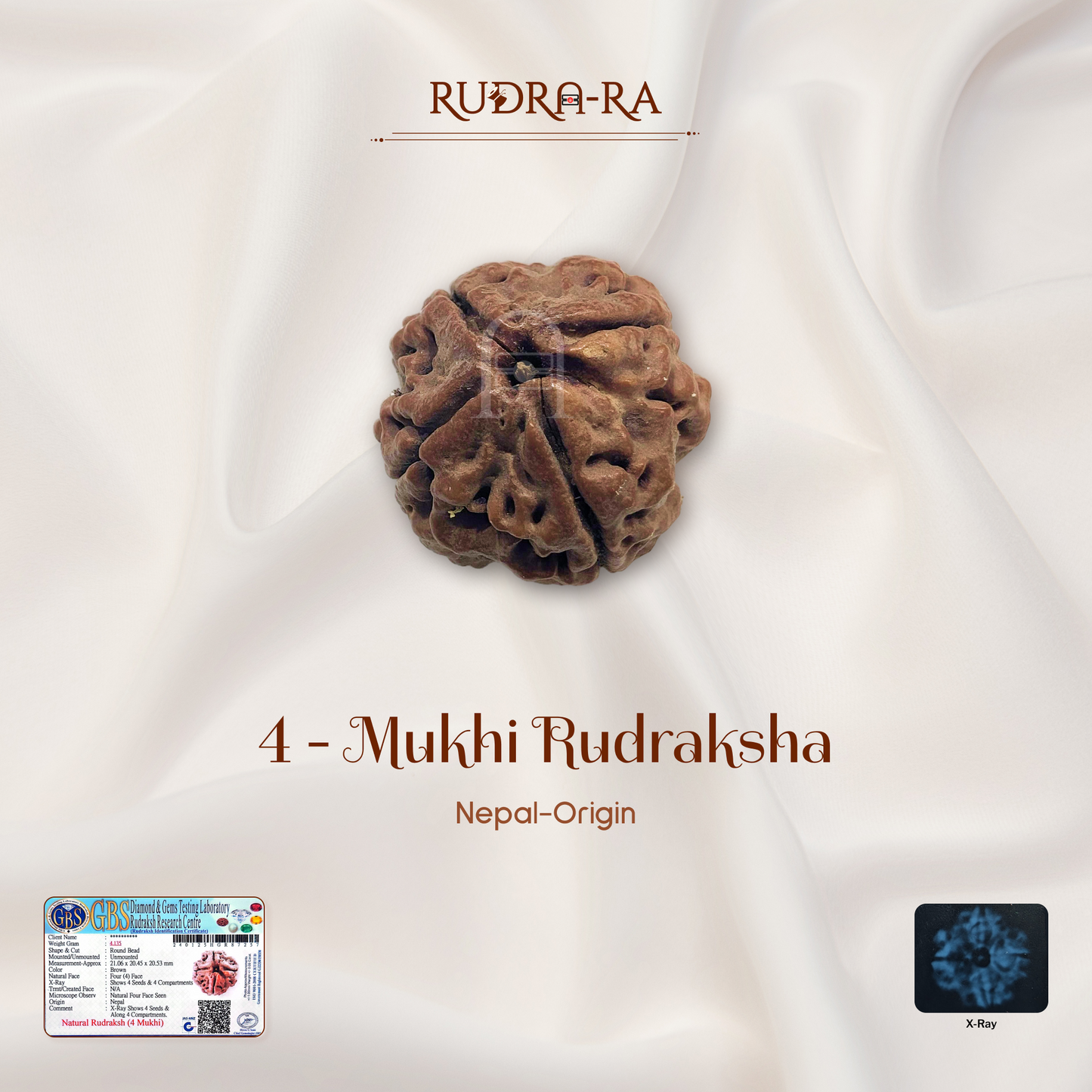 4_mukhi_rudraksh_01