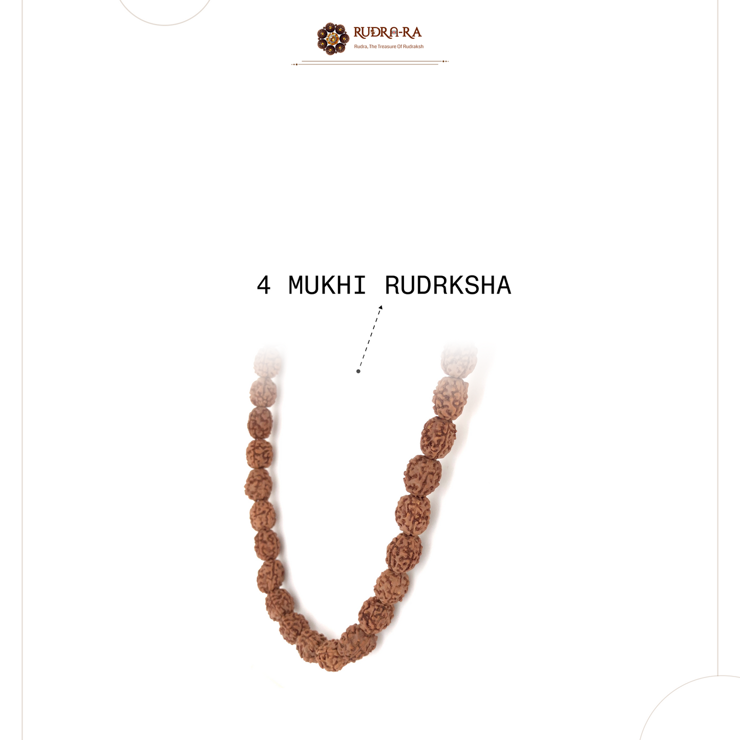 4_mukhi_rudraksh_indo_04