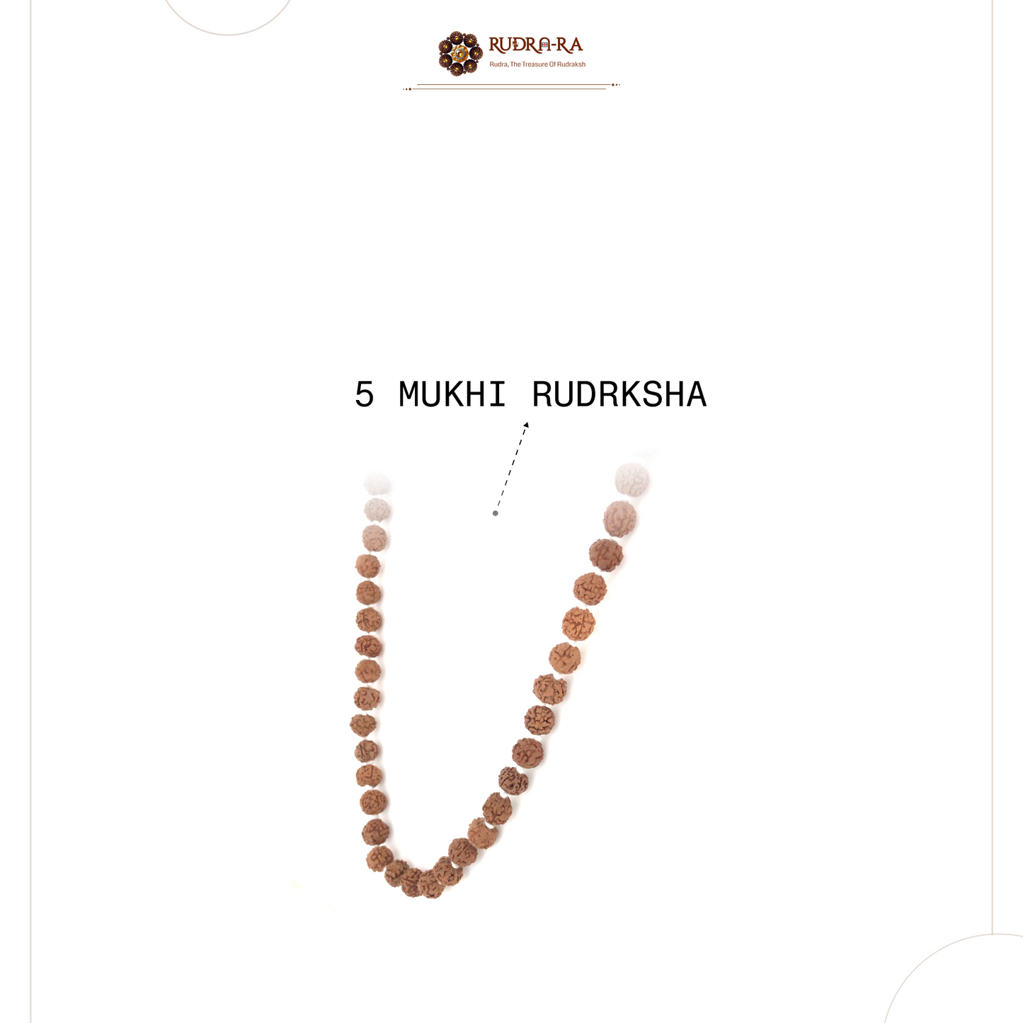 5 Mukhi Rudraksha Mala_05