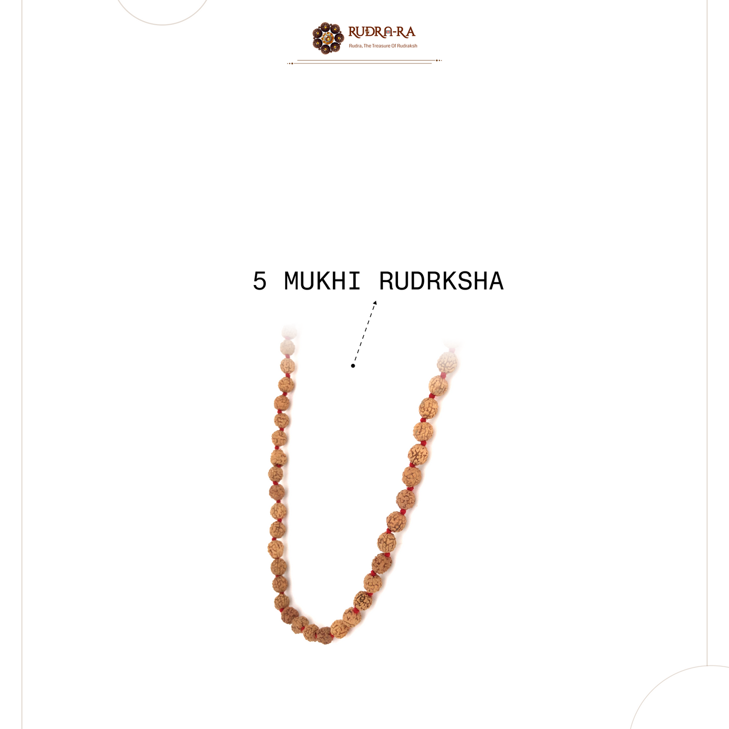 5_mukhi_rudraksh_mala7_04
