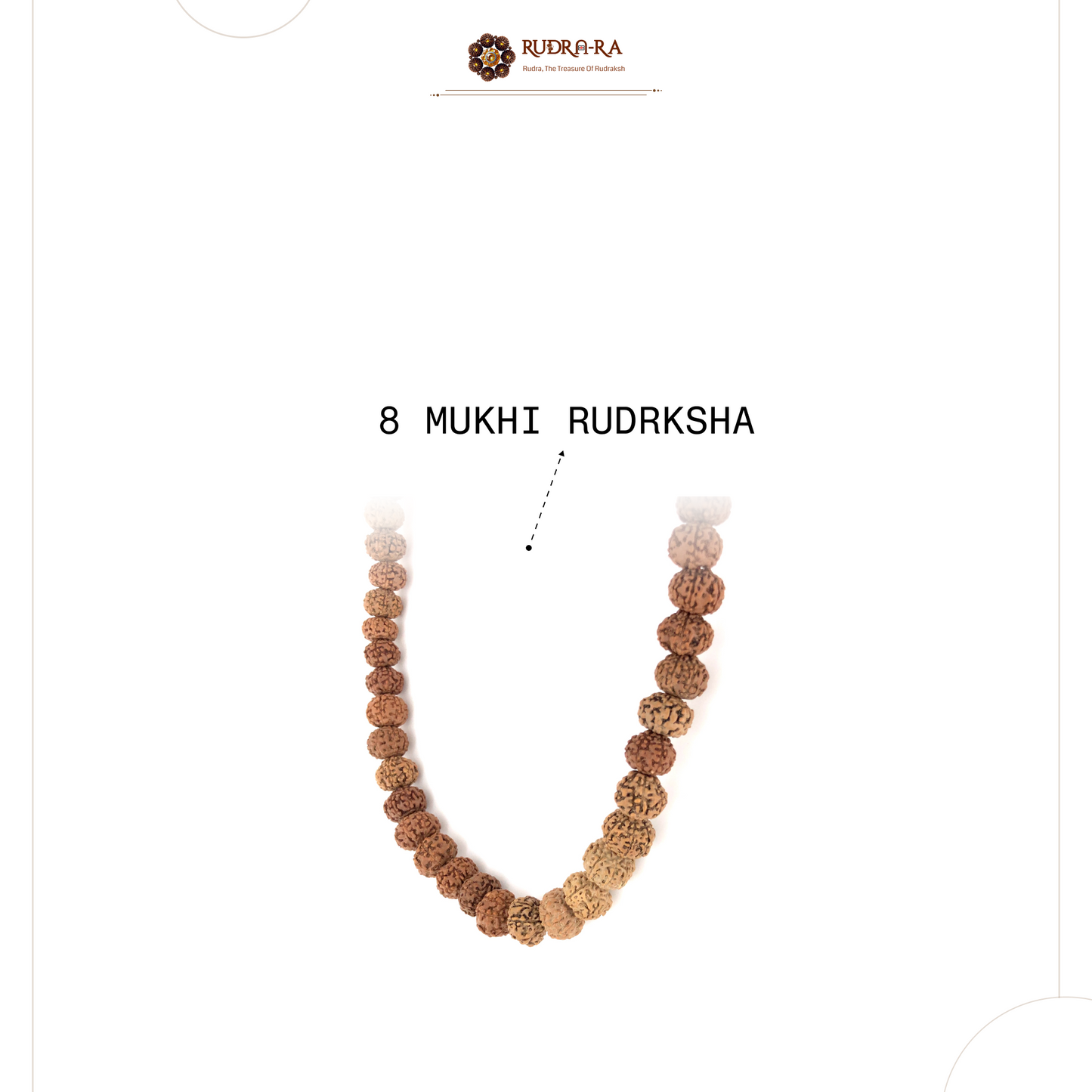8_mukhi_rudraksh_mala_04