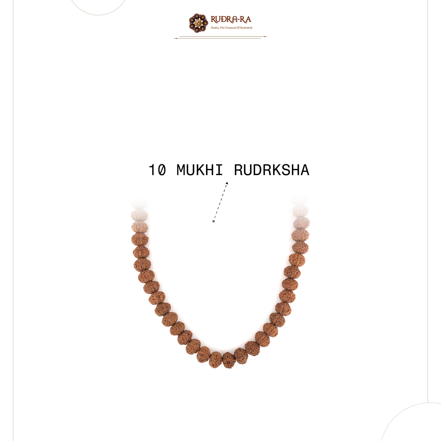 10_mukhi_rudraksh_mala_04