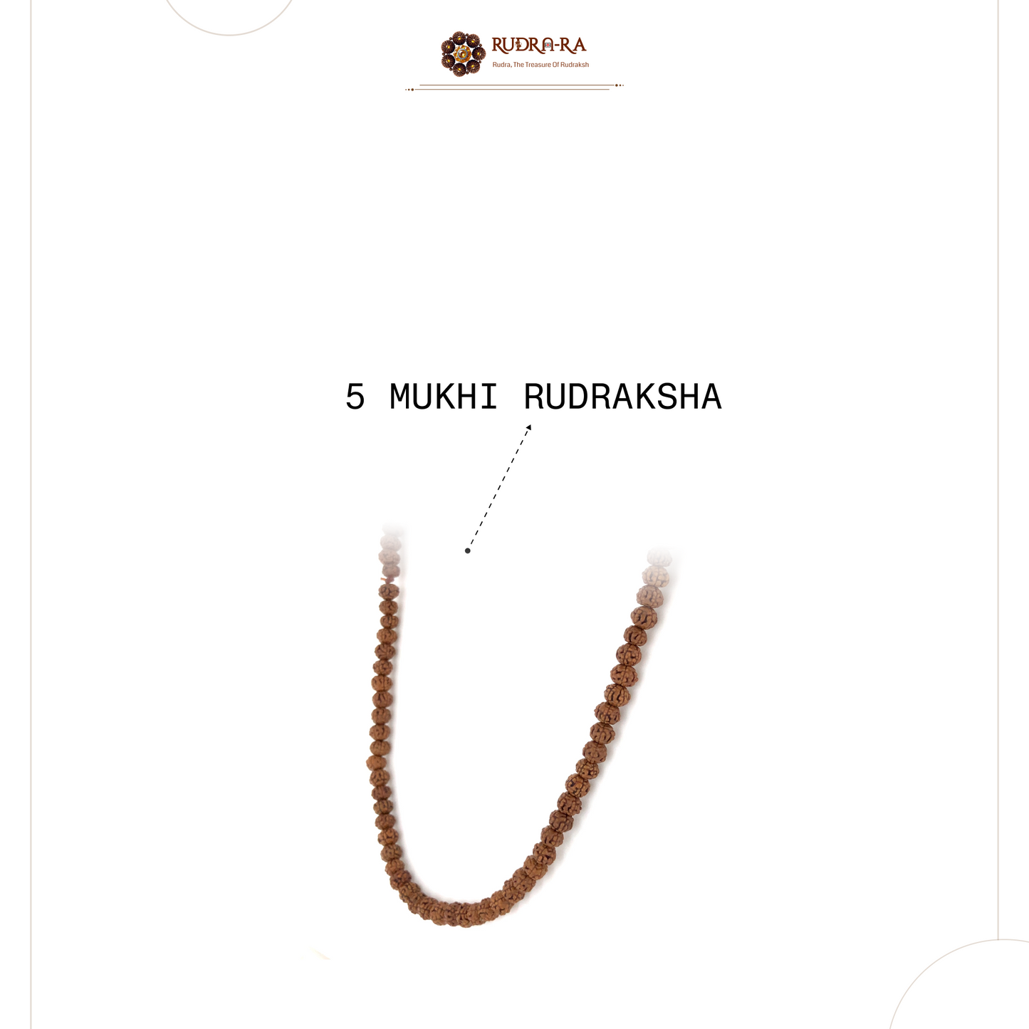 5_mukhi_himalay_04