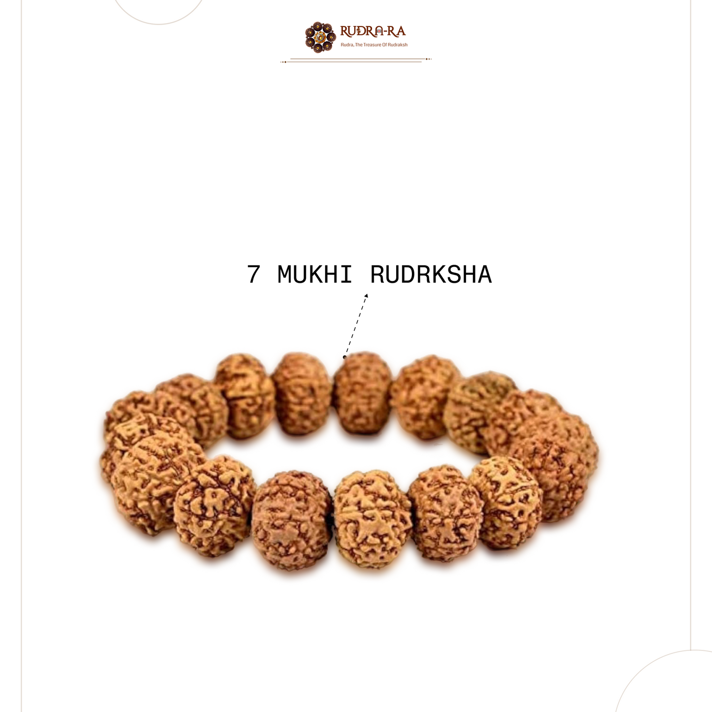 7_mukhi_bra_203