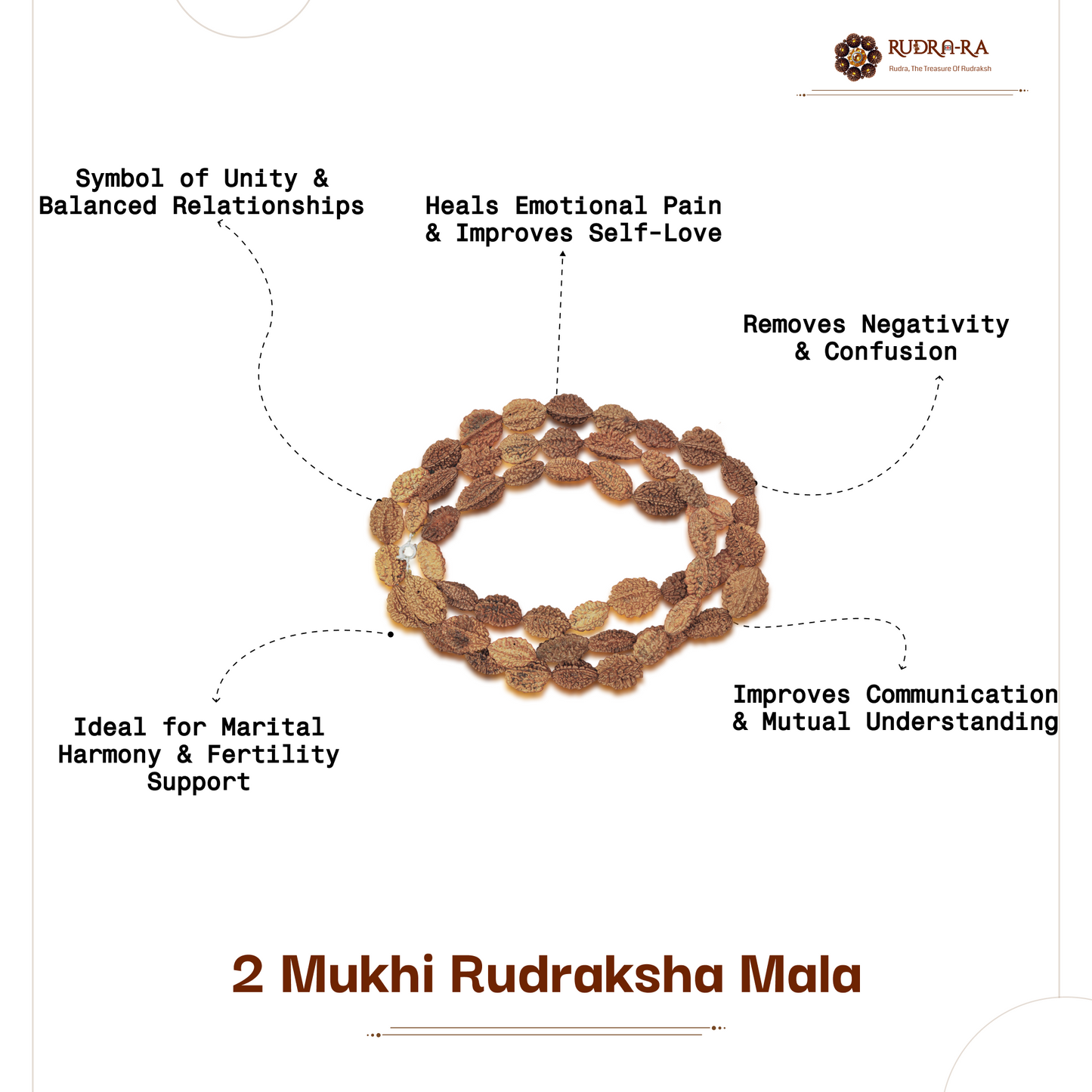 2_mukhi_rudraksh_mala_04