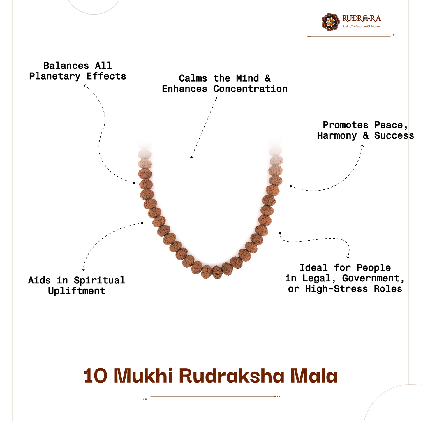 10_mukhi_rudraksh_mala_05