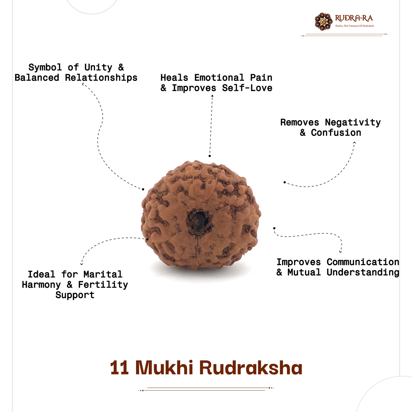 11_mukhi_rudraksh_05