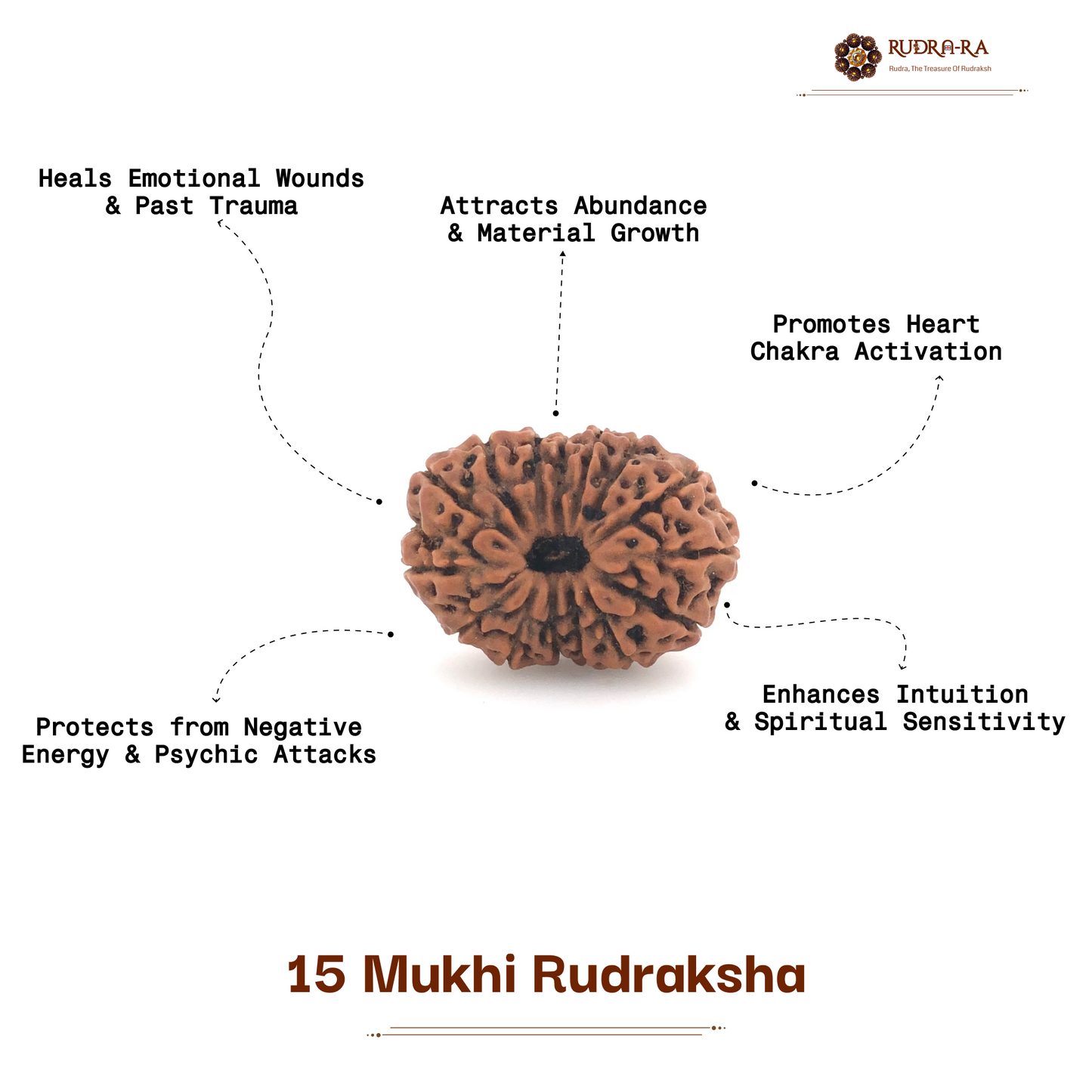 15_mukhi_rud_05