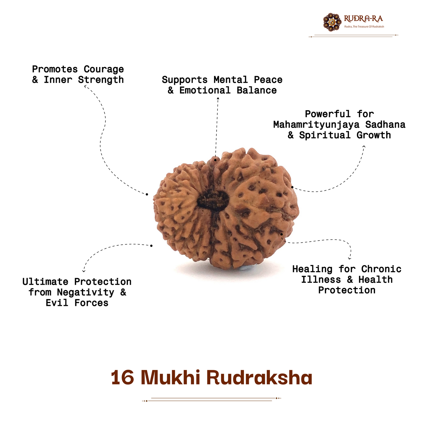 16_mukhi_rudra_05