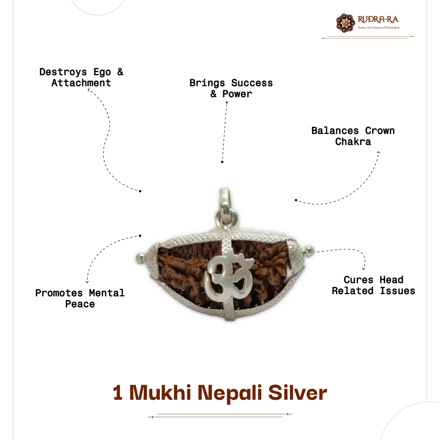 1_mukhi_rudraksh_nepali_06