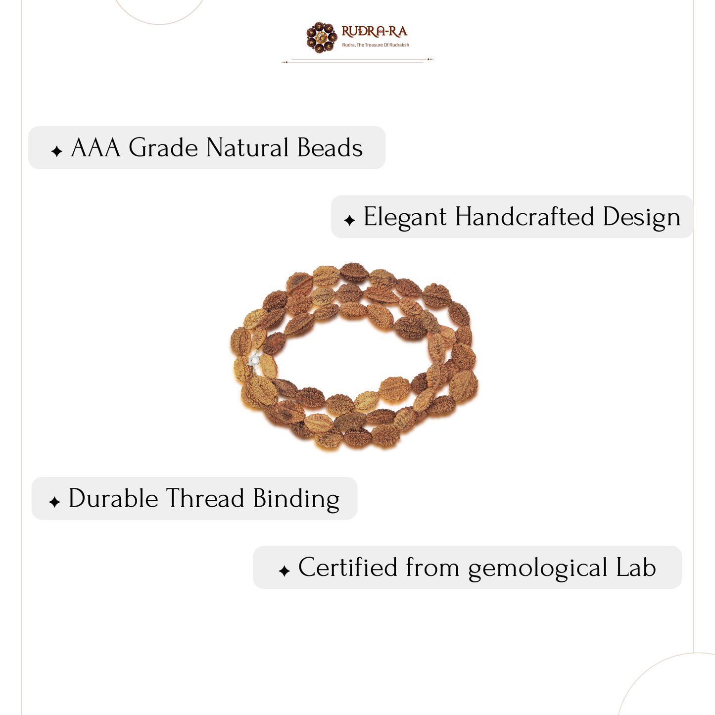 2_mukhi_rudraksh_mala_05