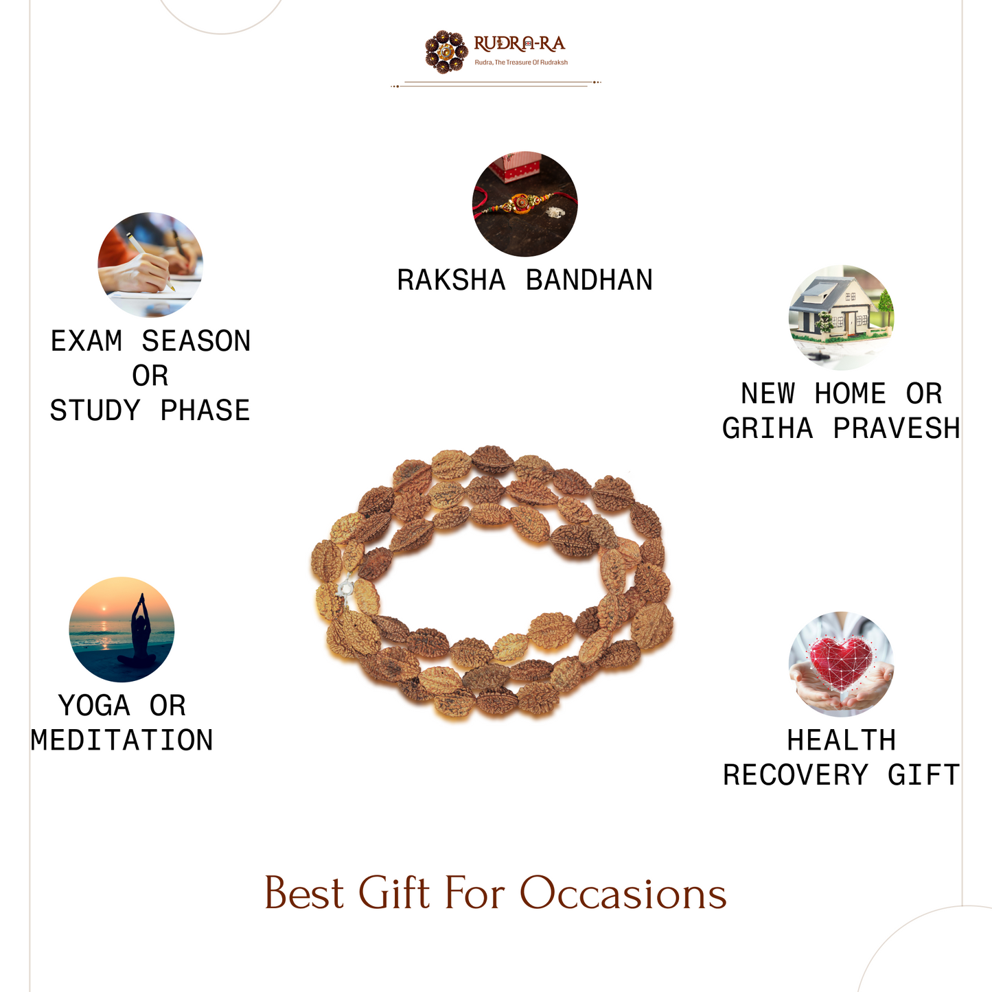 2_mukhi_rudraksh_mala_06