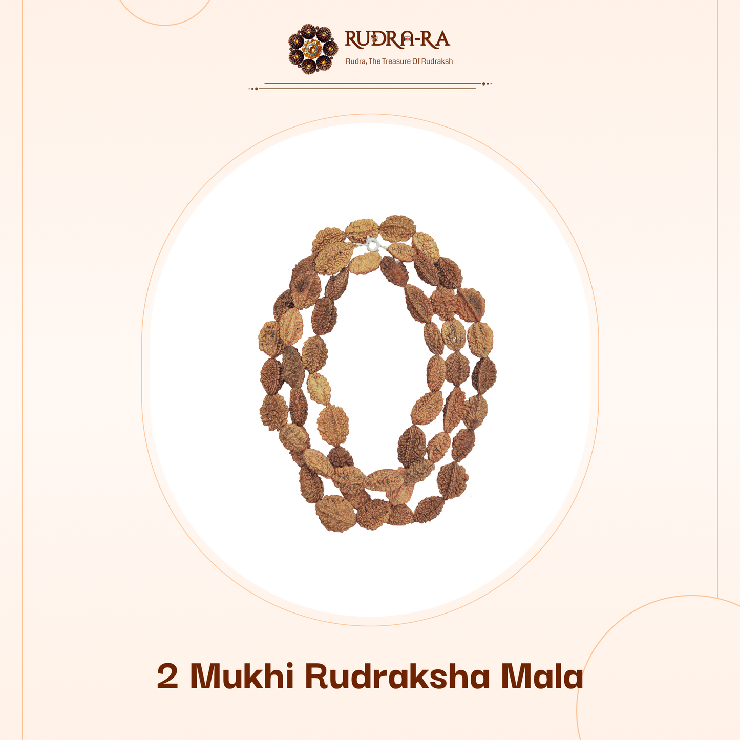 2_mukhi_rudraksh_mala_01