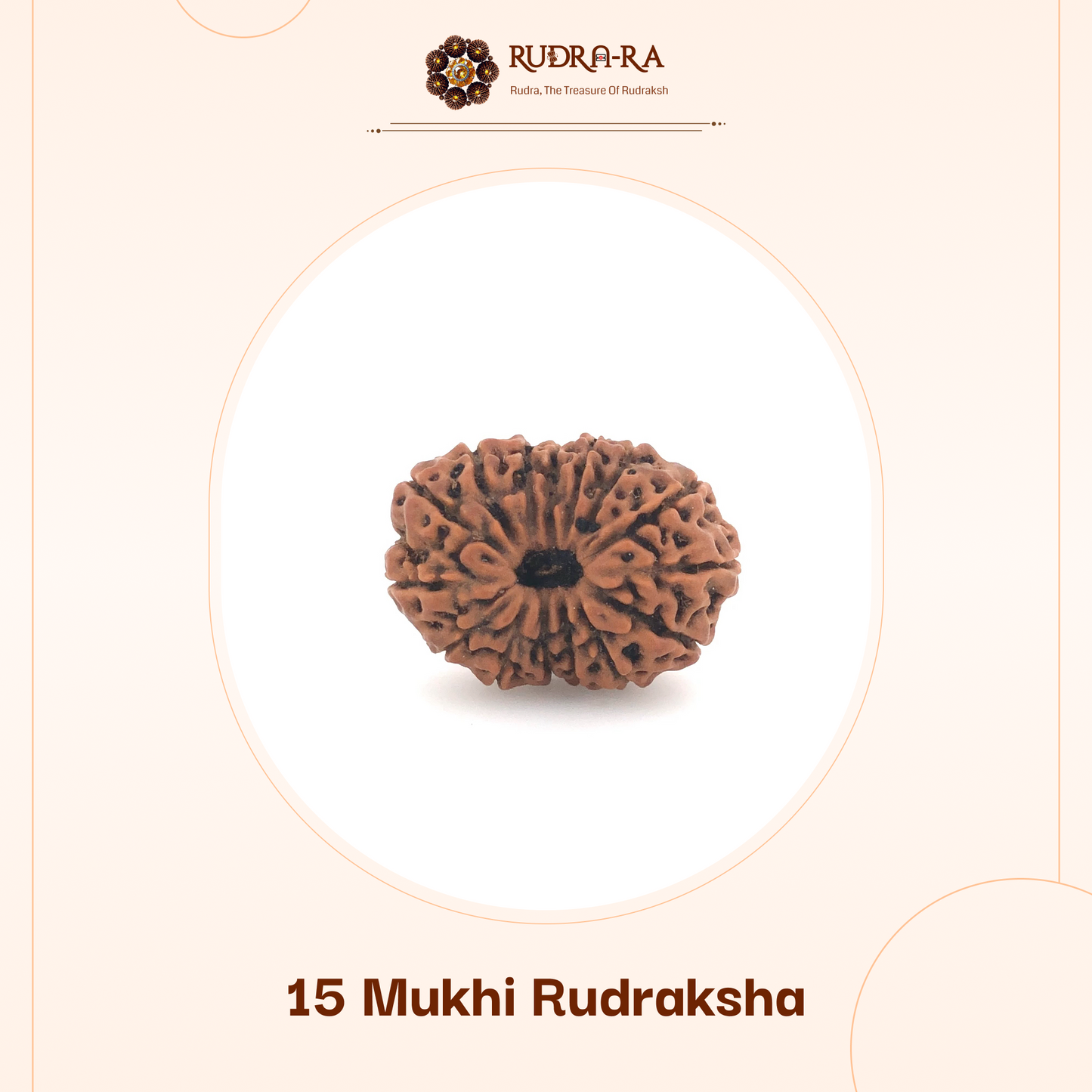 15_mukhi_rud_02