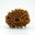 13 Mukhi Rudraksha