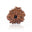 8 Mukhi Rudraksha