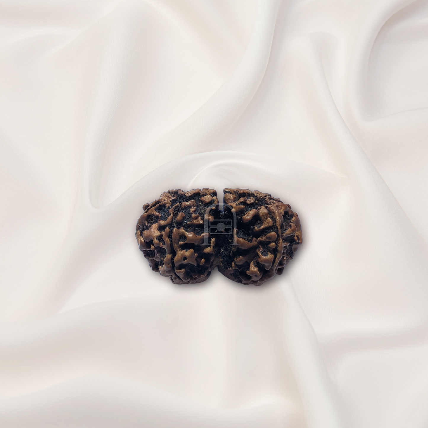 Gauri Shankar Rudraksha ( Nepali )