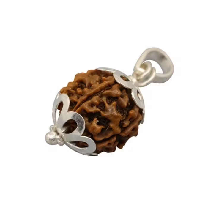 6 Mukhi Rudraksha Silver Pendant