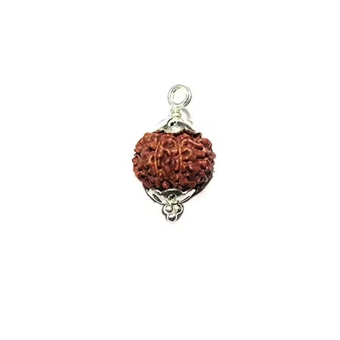 9 Mukhi Rudraksha Silver Pendant