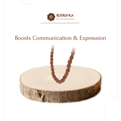 4_mukhi_rudraksh_indo_03