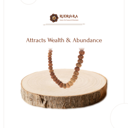 7_mukhi_rudraksh_mala_03