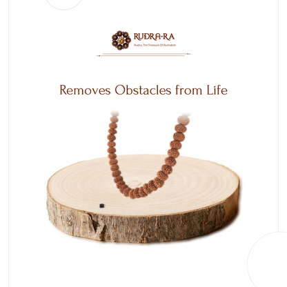 8_mukhi_rudraksh_mala_03