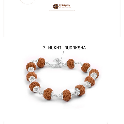 7_mukhi_bracelet_03
