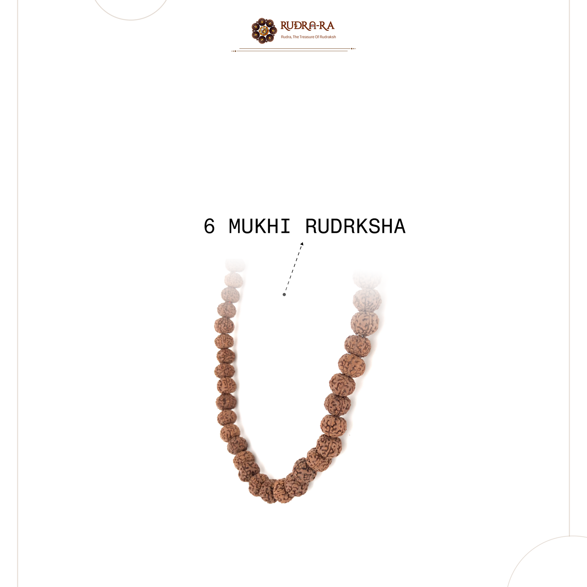 6_mukhi_mala_04