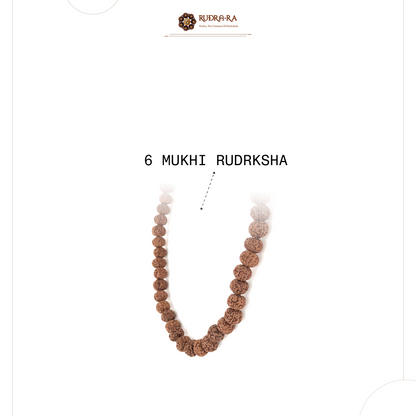 6_mukhi_mala_04