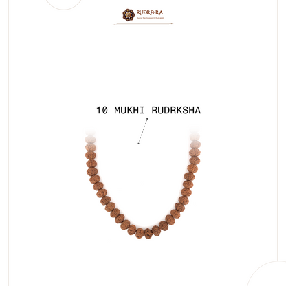 10_mukhi_rudraksh_mala_04