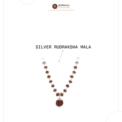 5 Mukhi Rudraksha Mala with 7 Mukhi Bindu bead Indonesian
