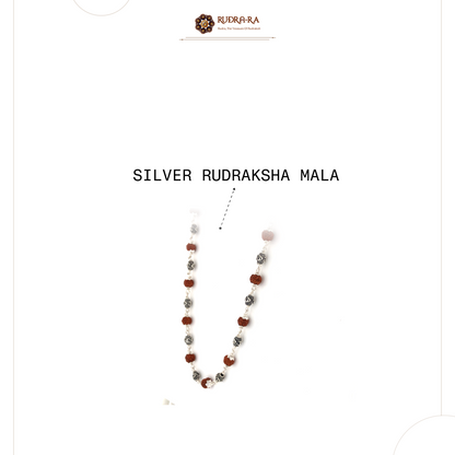 5_mukhi_rudraksh_mala_silver_03