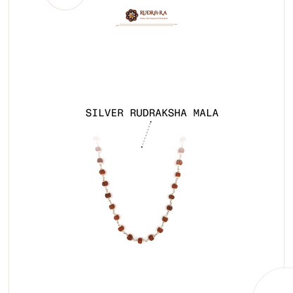 5_mukhi_rudraksh_mala_silver_simple203