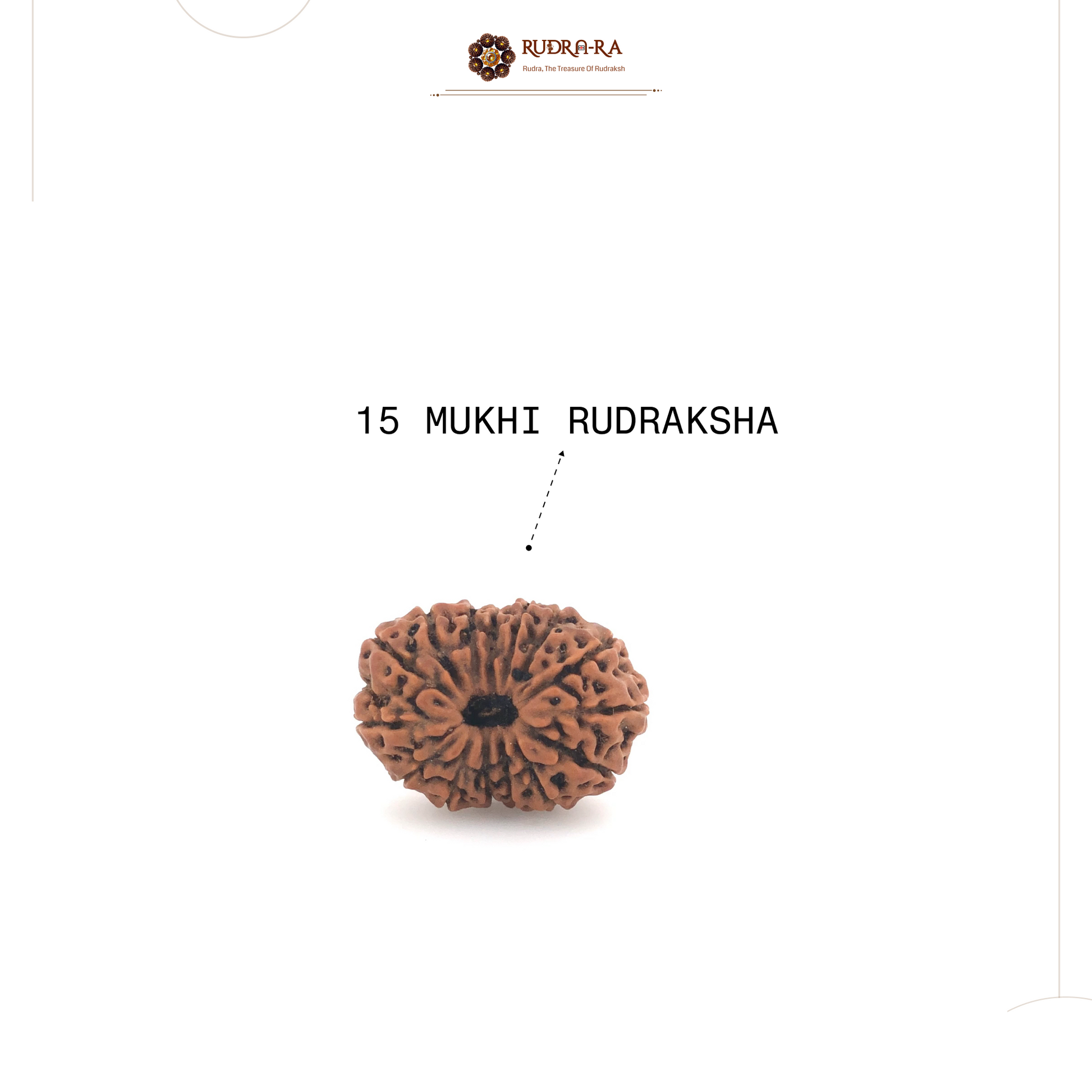 15_mukhi_rud_04
