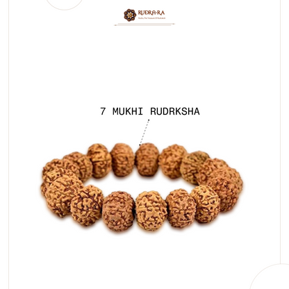 7_mukhi_bra_203