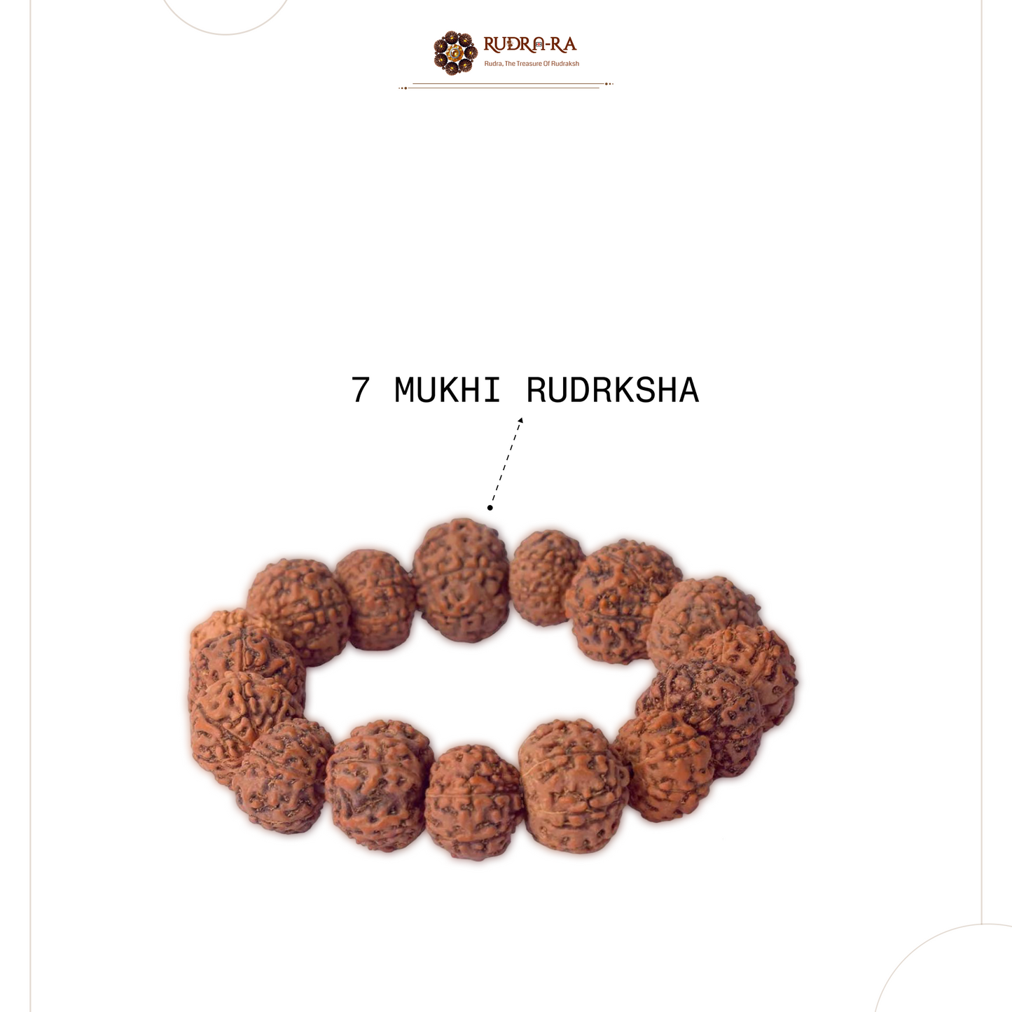 7_mukhi_brace_002