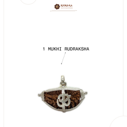 1_mukhi_rudraksh_nepali_04