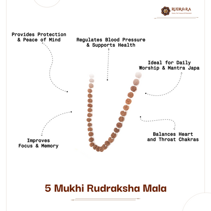 5 Mukhi Rudraksha Mala_06
