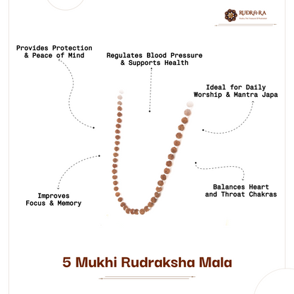 5_mukhi_rudraksh_mala_indonesian_04