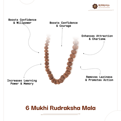 6_mukhi_mala_05