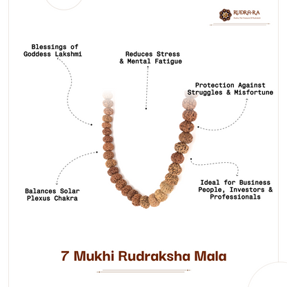 7_mukhi_rudraksh_mala_05