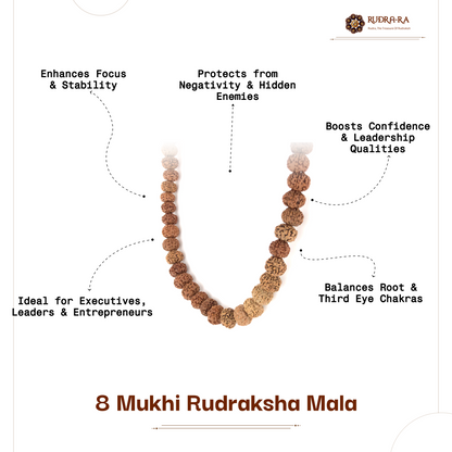 8_mukhi_rudraksh_mala_05