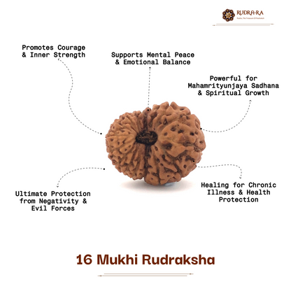 16_mukhi_rudra_05