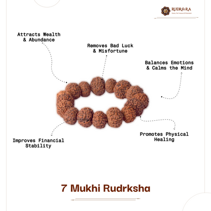 7_mukhi_brace_003
