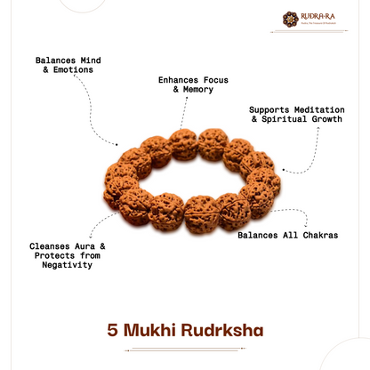 5_mukhi_bracelet014