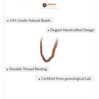 6_mukhi_mala_06
