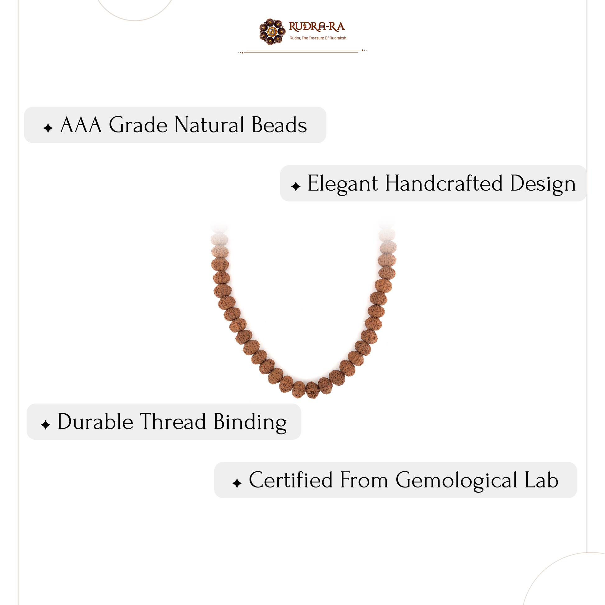 10_mukhi_rudraksh_mala_06