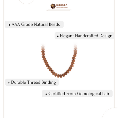 10_mukhi_rudraksh_mala_06